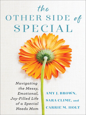 cover image of The Other Side of Special
